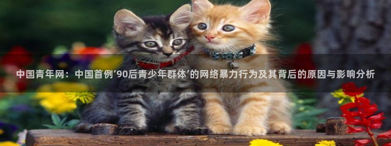upload/20250701114914.jpg