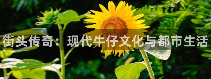 蓝图娱乐官网入口：街头传奇：现代牛仔文化与都市生活